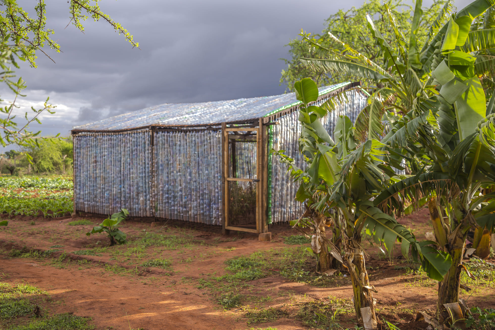 Memofotografie2019 9250